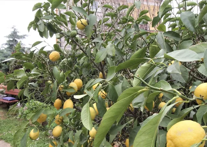 Estera Apartamento *